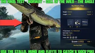 The Final Test - Use The Stallo, Hund And Floyte To Catch A Gold Pike - Norway - COTW : The Angler