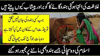 Hidden And Interesting Facts About India In Urdu Hindi