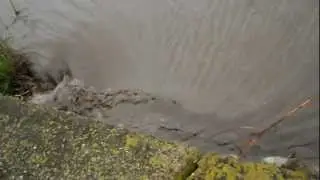 Inundatia din Cotova  de pe 19 mai 2012