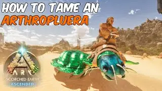 How To Tame an Arthropluera in ARK Survival Ascended #ark #arksurvivalascended #arthropluera