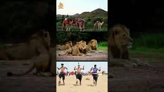 Gujarat in 60 Seconds &ndash; Culture, Colors & Pride! 🇮🇳✨