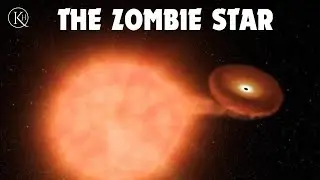 Unraveling the Mystery of Zombie Stars: Undying Celestial Anomalies