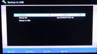 Edision Proton HD Backup Channel List to USB Drive