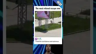 Самый медленный побег в истории🐌👀