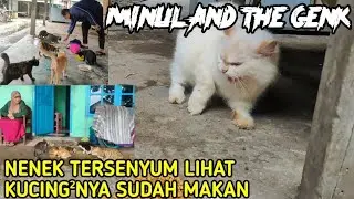 MINUL And The CATS Genk!!! Hujan Reda Langsung Di Sambut Gembira!!!