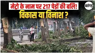 Indore News: Metro या विनाश? | Indore में 217 सालों पुराने पेड़ काटने पर भड़के लोग !