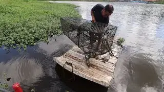 PESCARIA COM COVO NA LAGOA