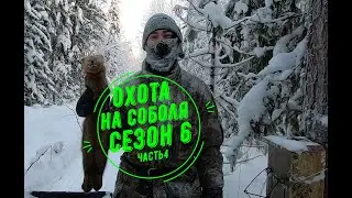 Охота на соболя. Сезон 6. Часть 4.