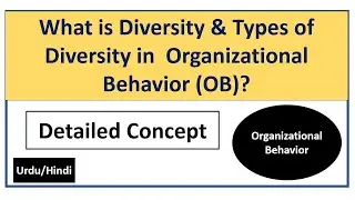 What is Diversity and Types of Diversity in Organizational Behavior(OB)?
