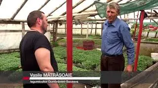RĂSADURI ROM&Acirc;NEȘTI PENTRU LEGUME CU GUST