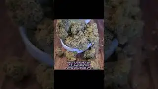 Supreme Diesel - Green Karat SD #medical #cannabis #uk #alternaleaf #curaleaf #review #educational