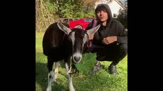 [FREE] BABYTRON X YN JAY X DETROIT TYPE BEAT - “GOAT TALK”