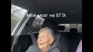 Мой мозг на ЕГЭ...