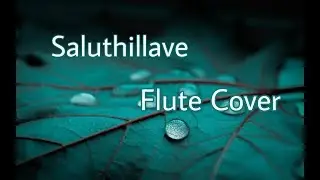 Saluthillave Flute Cover | Instrumental | Kotigobba 2 | Rakshith Nayak