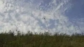 Dziś do ciebie przyjść nie mogę