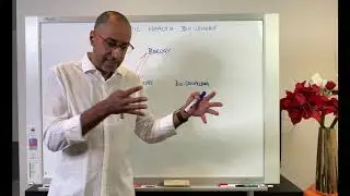 Holistic Health Talks w Dr Hisham 2