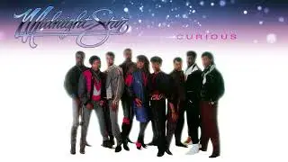 Midnight Star - Curious (Official Visualiser)