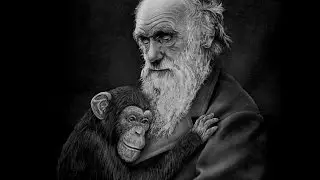 Vie Le Grand Voyage De Charles Darwin La Th&eacute;orie De L'&eacute;volution Science Documentaire