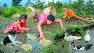 Primitive Life Village - Mother Catch duck cook frog - Eating delicious frog(Part 5)Monkeys and dogs