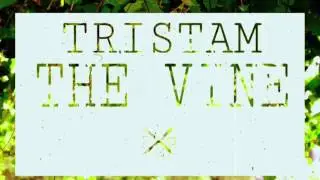 [Drumstep] Tristam - The Vine