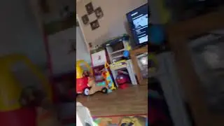 Pugapoo puppy at play