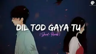 Dil Tod Diya tu hindi song slowed reverb lo-fi song 🎶@LofiSong-2025-t 