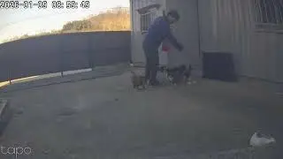 고양이 몰래카메라(Hidden camera/CCTV of a cat) 2026년 1월 9일