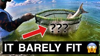 WADE FISHING Port Mansfield, Tx | FISHING the South Texas Coast 2021