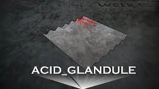 welk.ez - ACID_GLANDULE