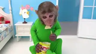 Monkey with crocodile | animalbeast