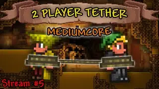 Queen Bee + Preparing for Hard Mode! | 2PT Mediumcore Stream 5