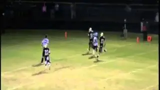 Travon McMillian - Final Highlights 2012