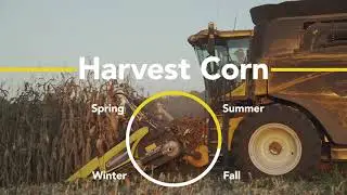 Conservation Crop Rotation