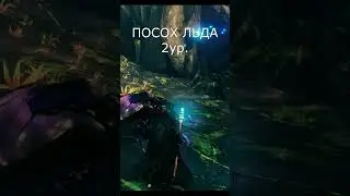 Лучшее оружие для Туманных Земель в Valheim