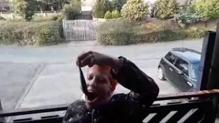 Cats Go Crazy  For Fish