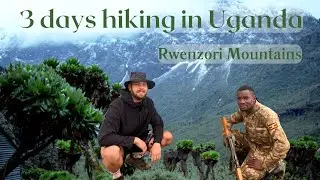 Uganda&rsquo;s Rwenzori Mountains in 3 Days &mdash; Hiking Through Mist, Forest & Peaks
