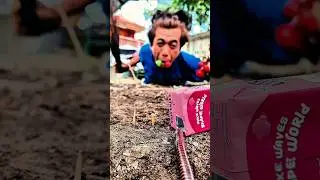 The best moment to trap a centipede #shortsvideo #shorts