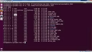 Ownership and Permissions on WordPress Files