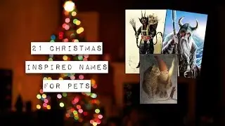 CHRISTMAS | Pet's Names Inspired By...