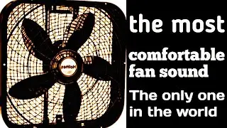 Why This Soft Fan Hum Feels So Good? Black Screen Fan Ambient for Fast Sleep Deep