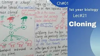 Cloning || Procedure Of Cloning || Class 11