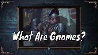 Gnomes -- What Game Lore Won't Tell You