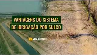 VANTAGENS DO SISTEMA DE IRRIGAÇÃO POR SULCO