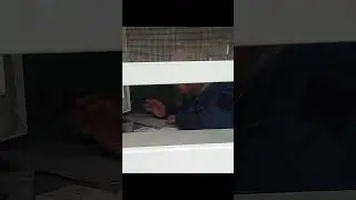 СТОРОЖ ТУПИТ//больница им. Филатова, Пенза #shorts