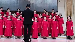 백석사모합창단 (Gloria in Excelsis)