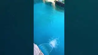 Pool Cleaning Before and After&hellip;