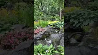Now this is Living The Aquascape Lifestyle 😍#waterfall #pond #nature
