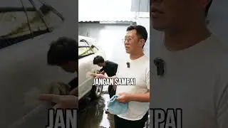 Как правильно мыть машину?! 🤔