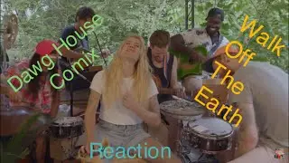 Walk off the earth (what’s love got to do with it.) reaction
