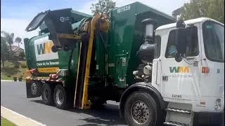 107939 slammin amrep N2 on recycle 